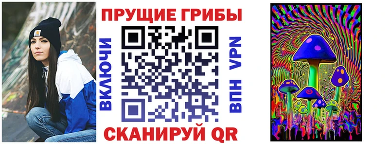 Псилоцибиновые грибы мухоморы  площадка клад  Цимлянск  наркошоп 