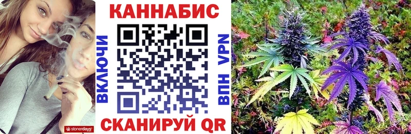 маркетплейс как зайти  Цимлянск  Бошки марихуана план 